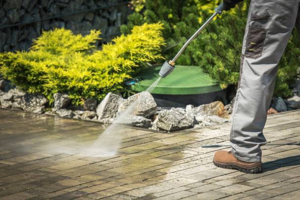 Best Winterizing Services  in Northbrook, IL